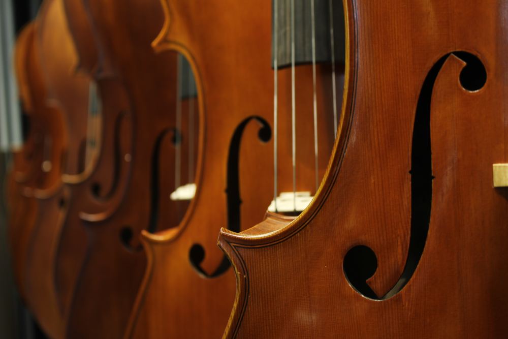 På utkikk etter ny cello?